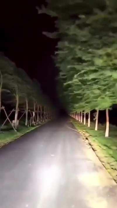 Would you drive through this?