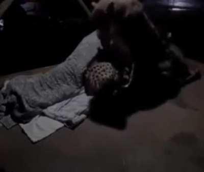 Man comforts his cheetahs when they get nervous during the night