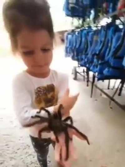 This kid is not scared of huge tarantulas