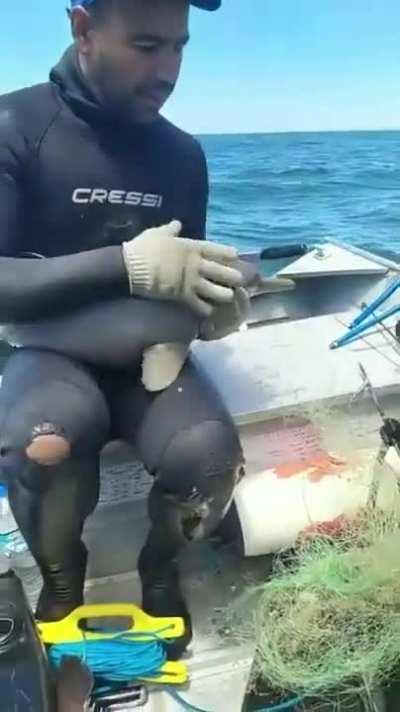 Evil man pulls baby river dolphin out of the water, wraps it in a fishing net, and tosses it back in