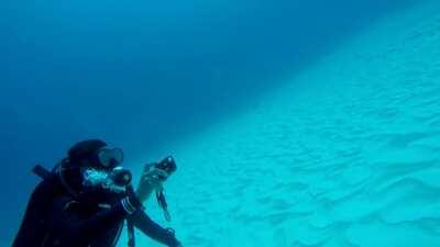 Bull shark dive this past weekend in Playa Del Carmen. No feeding just observation. Such magnificent creatures.