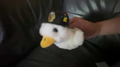 Aflac Aflac Aflauarhghh