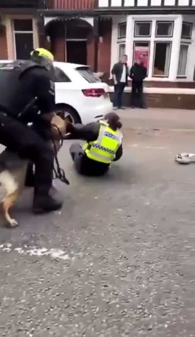 Police Woman Gets Bitten By A Police Dog