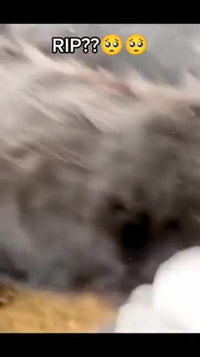 @United-Doctor093 video #287891