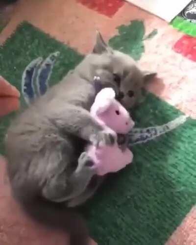 Don't Touch My Pinkie Toy