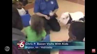 Chris P. Bacon 🥓