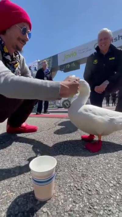 Duck runs in a marathon and gets a medal