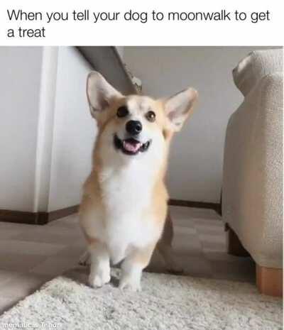 You deserve the Treat