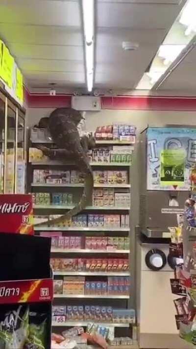 Just your normal day in a Thai 7-Eleven.’