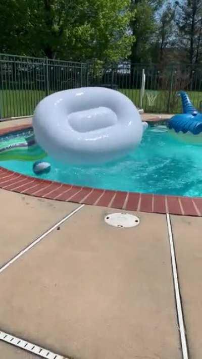 My wife bet me she could hop on a float and make it across the entire pool. She was so confident