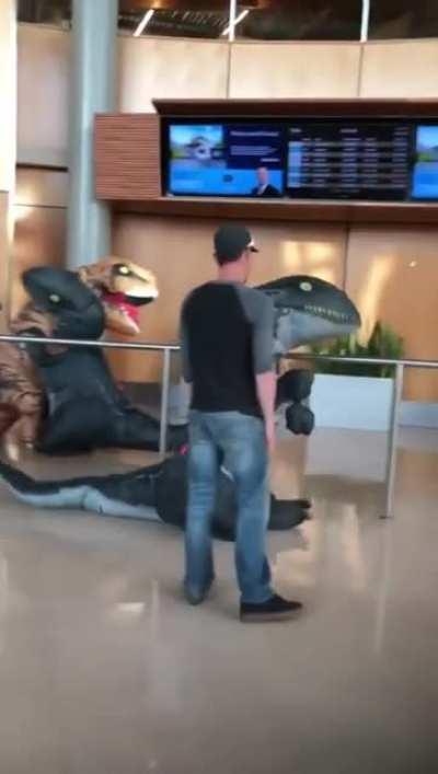 These grandkids planned to surprise grandma at the airport dressing as Raptors but she heard about it and planned her own surprise.