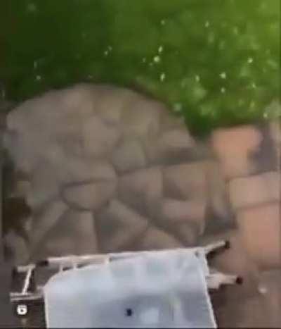 WCGW if I throw this glass