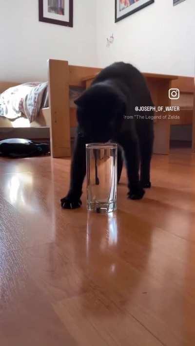 Wunk does not understand how to drink water normally.