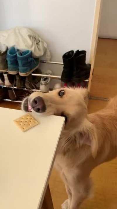 Crackers are difficult sometimes