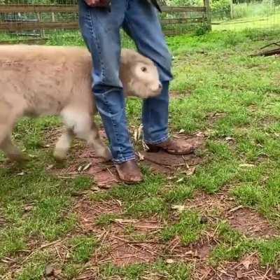 Desperate derping out by grass doggo