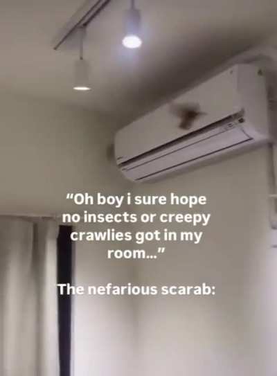 Nefarious Scarab