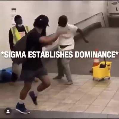 Sigma Displaying his Dominance