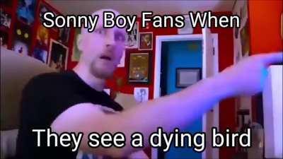 Sonny Boy Fans when