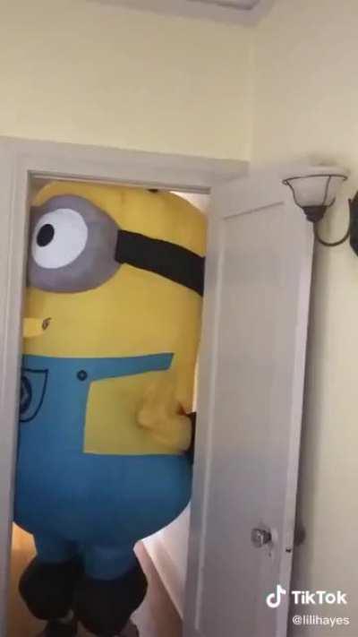 Minion jail