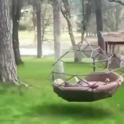 This swing..