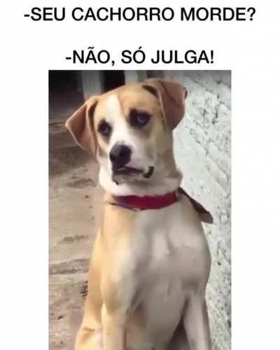 Quando alguém fala que não tem medo de pegar Covid