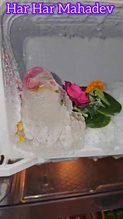 Family starts worshipping their freezer because of ice shape