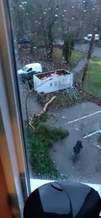 This cyclist was almost hit by a tree