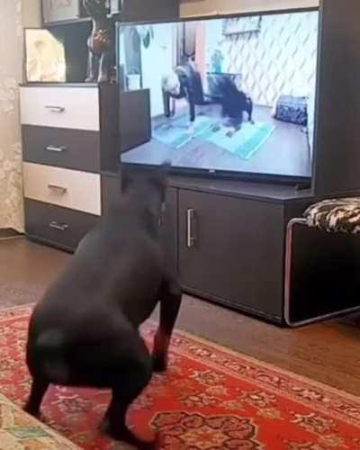 Good girl trains herself by watching video