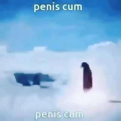 Penis cum