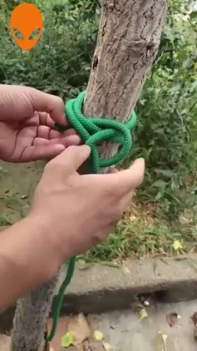 Survival knots hack