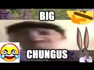 The Chungus King