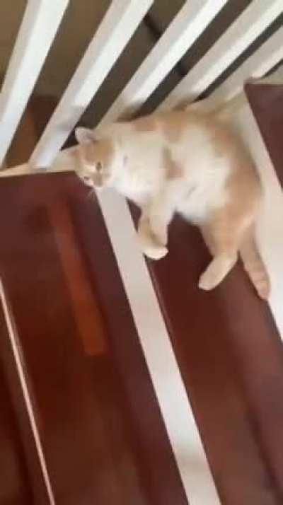 Satisfying Cat Technique