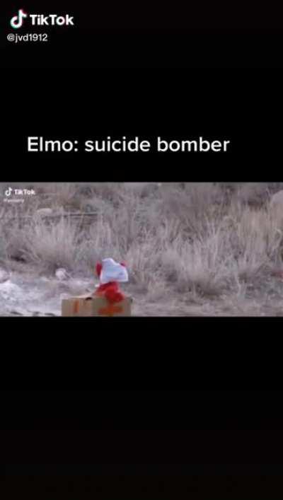 Elmo: suicide bomber