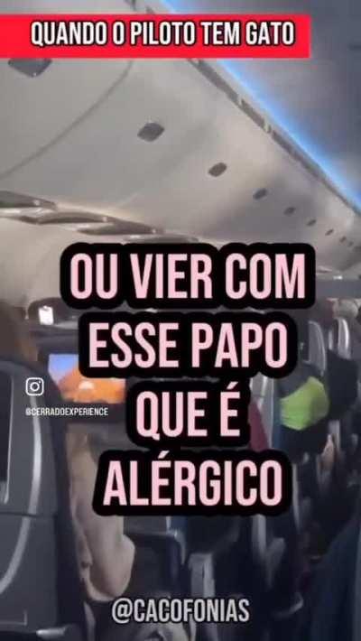 Quando o piloto tem gato 