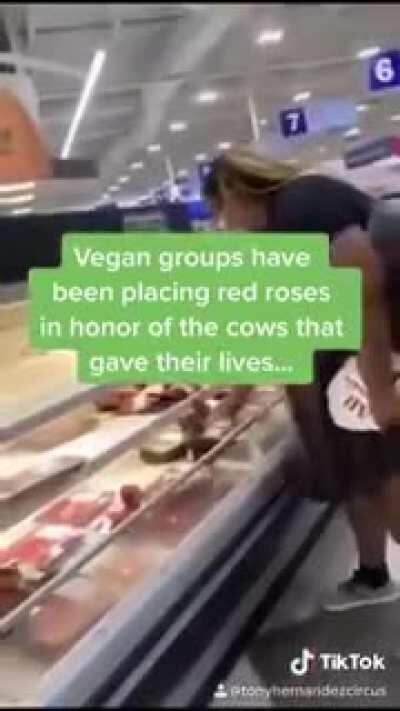 To persuade people into not eating meat.