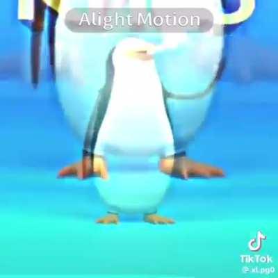 Awesome fricking penguin edit 😎😎😎