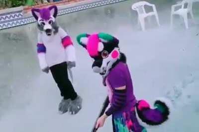 furries in da pool