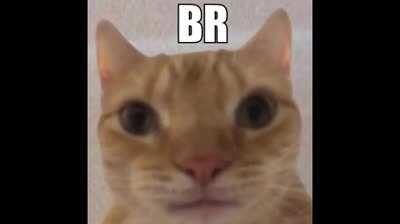 cat do be like bruh doe amirite?????