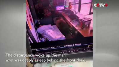 Man waking up to Bear in Chinese Hotel