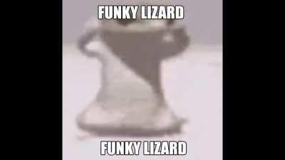 funky lizard funky lizard