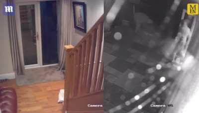 Man protects his wife from three home intruders