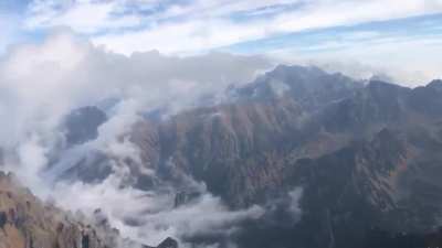 Climbers ascend to the highest peak of Poland and find a cat at the summit