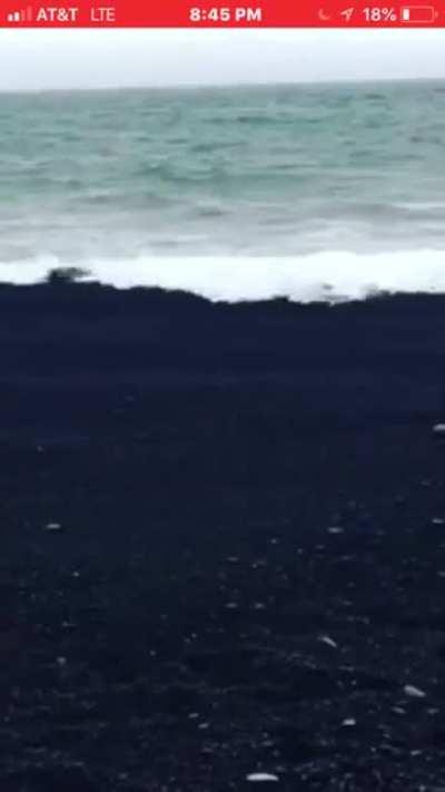 🔥 Water disappearing in coarse black sand in Iceland