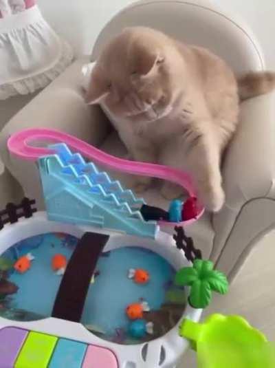 How this cat fixes the toy