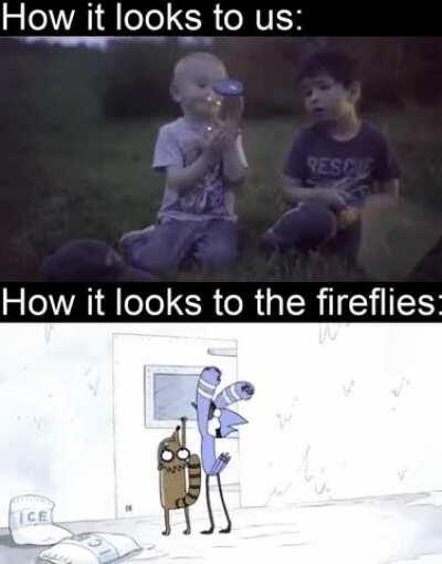 Do you say fireflies or lightning bugs?