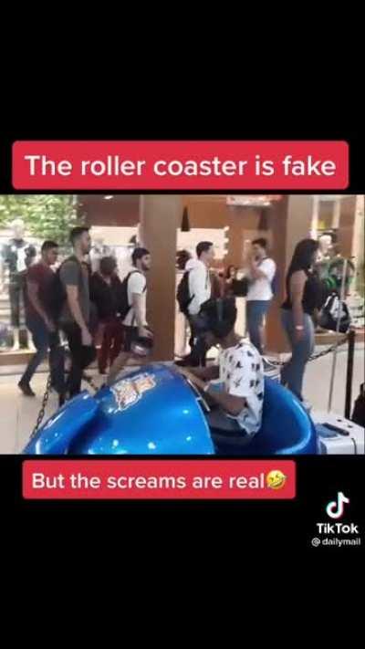 Fake roller coaster