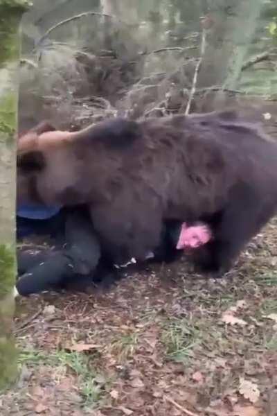 So apparently , Russians wrestle with bears...and the bears enjoy it? I don't know, I'll provide the source in the comments.