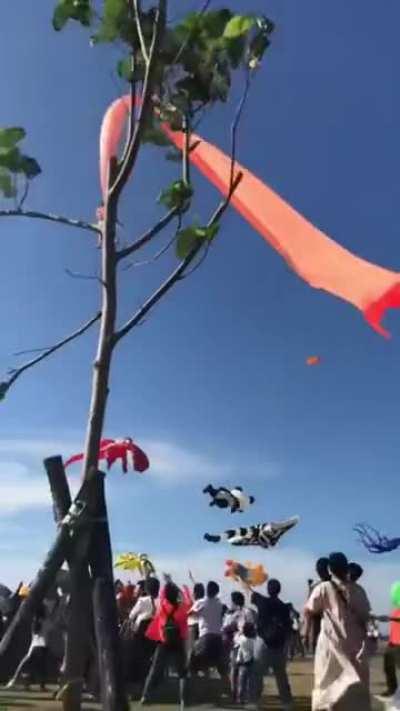 Kid is snatched by kite and flies