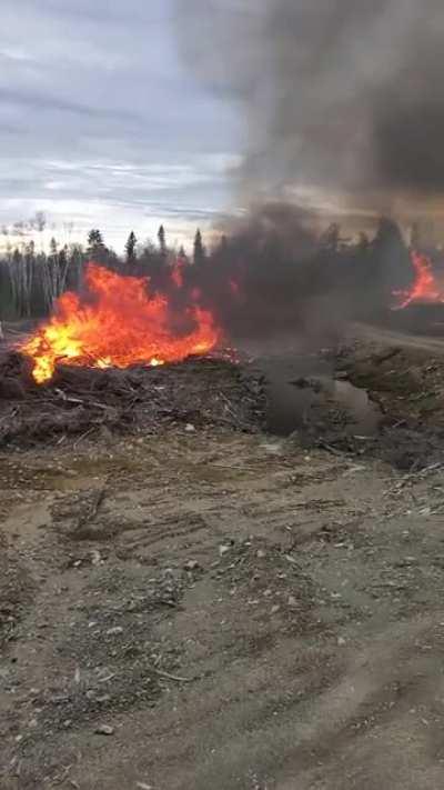 Slash Pile Burning (sound on for full effect)