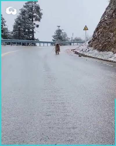 All wheel drive, with summer tires.